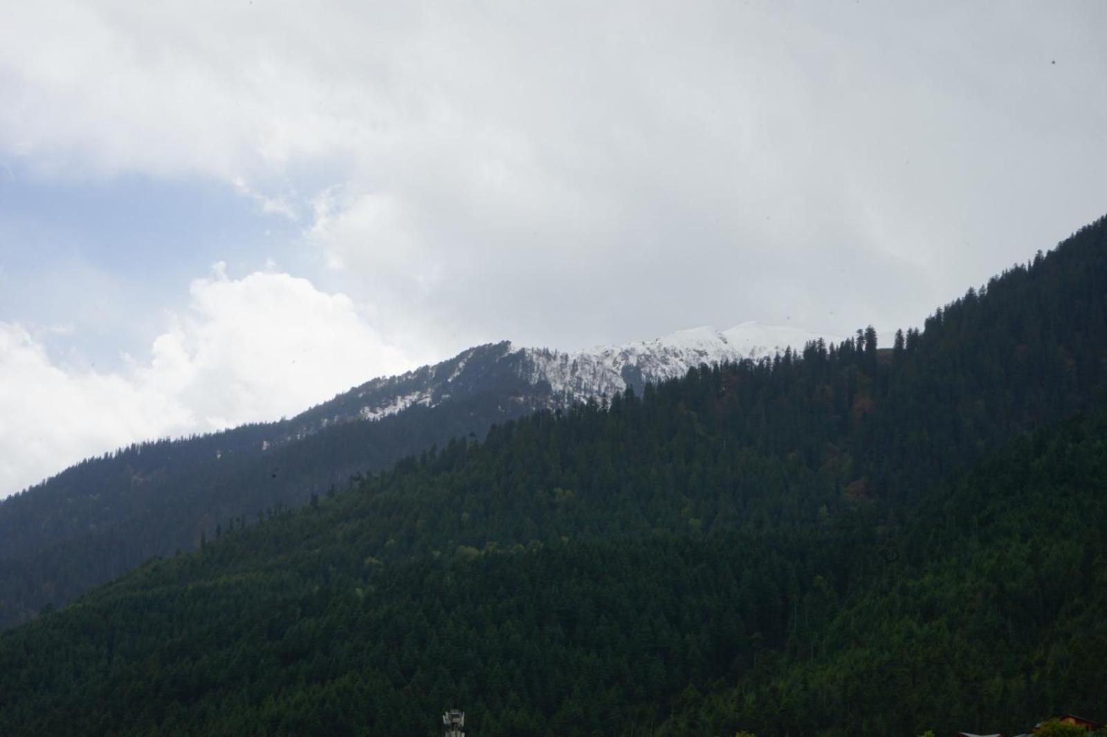 Hotel Magnolia Mallroad Manali Exteriör bild